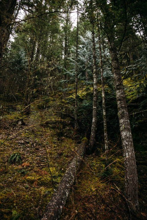 christophermfowler:Yale, BC | March 2019