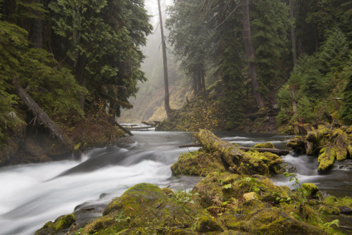 McKenzie River and Tamolitch Pool by Jérémy RONDAN