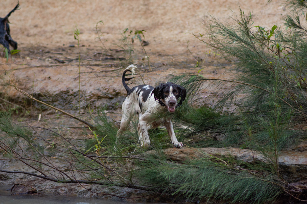 didn’t expect him to jump from one side of the swimming hole to the other, but go off i guess 