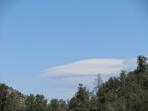 Lenticular Clouds over the DesertMar. 9, 2022We’ve had one high OR day after another following two d