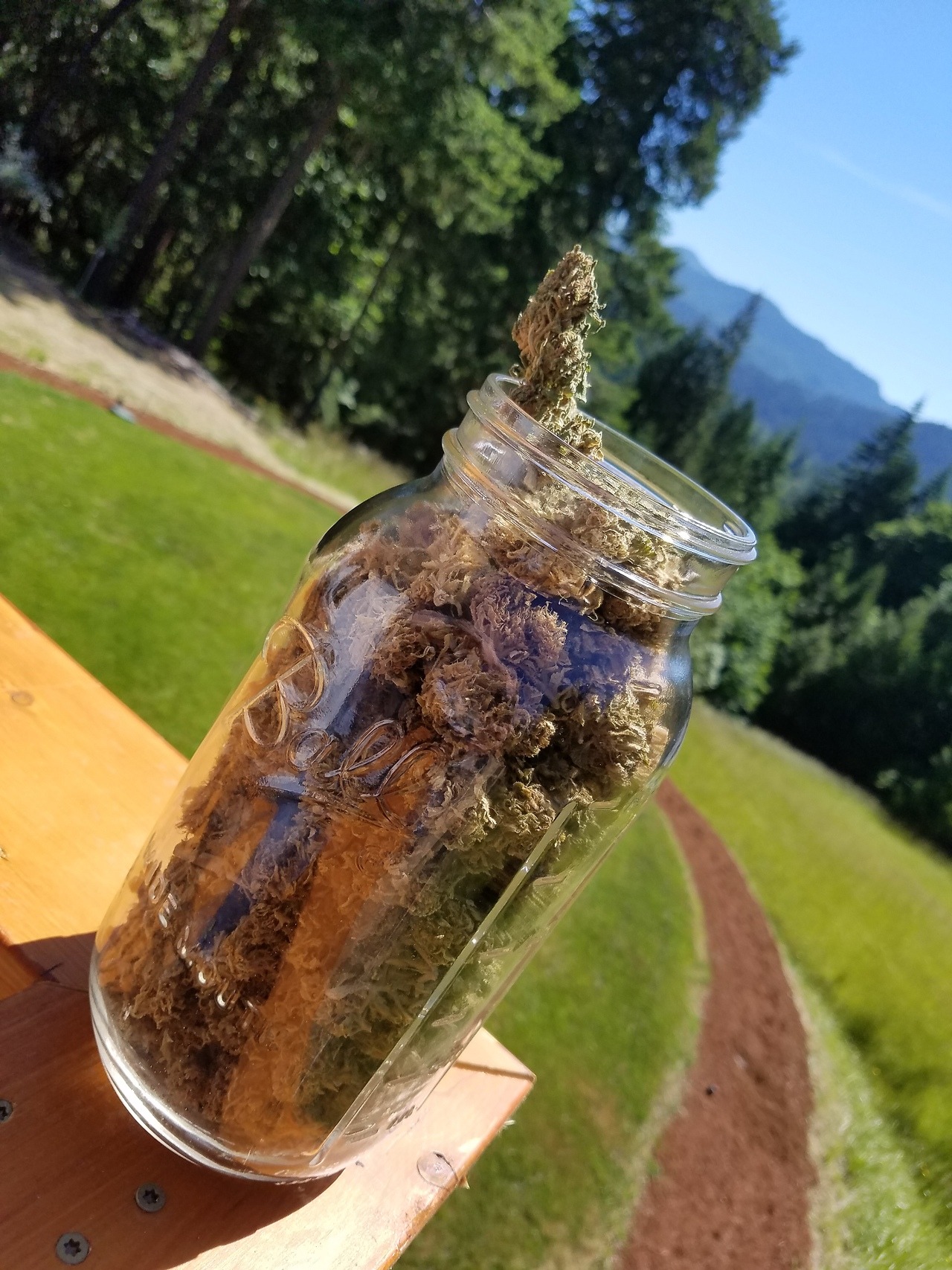 lameeejaneee:  4 oz Durban Poison, a beautiful day, and that amazing view 😍