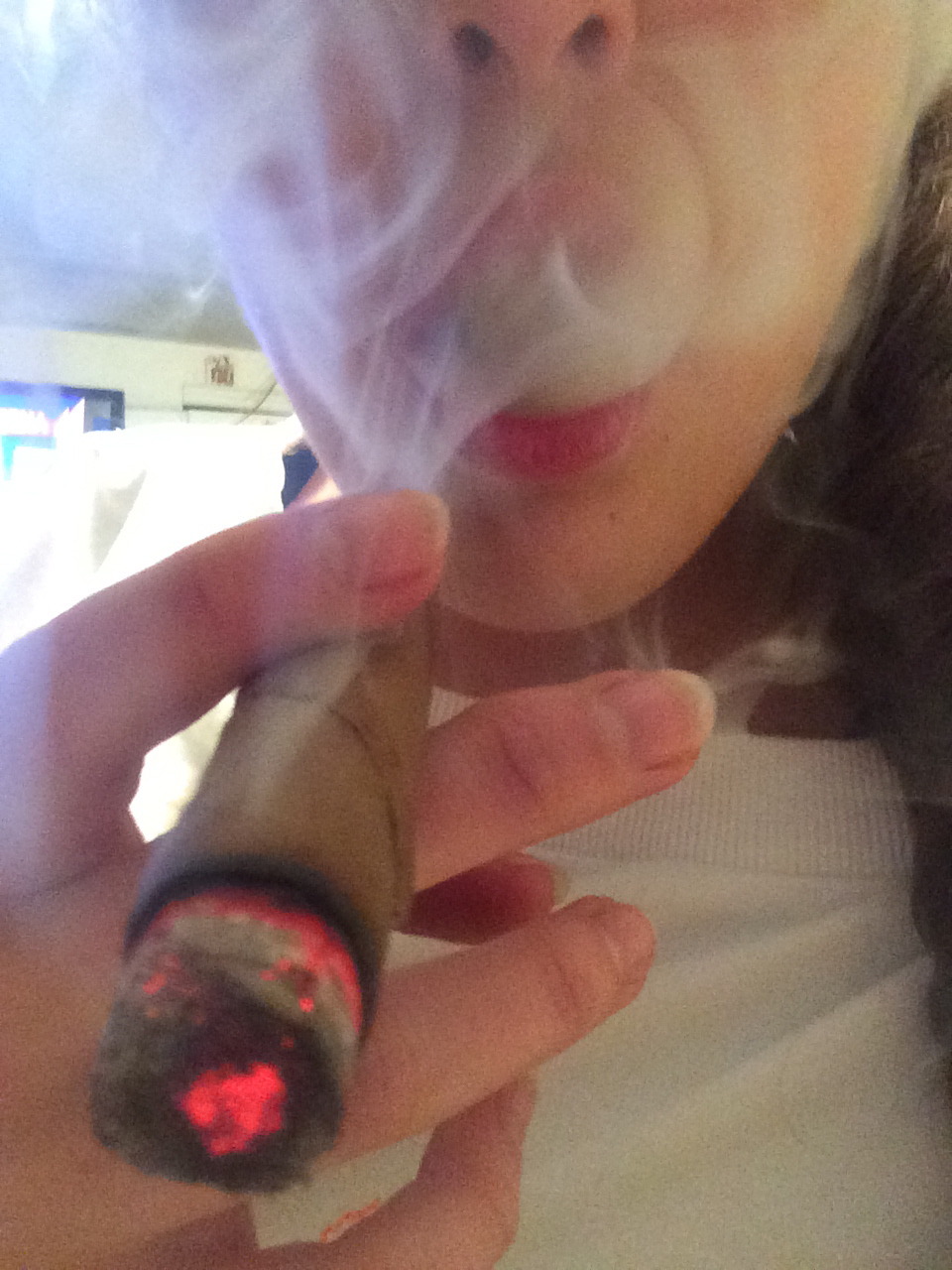 highbernation-hime:  Christmas 2013 Gotti; gutted &amp; stuffed by yours truly.