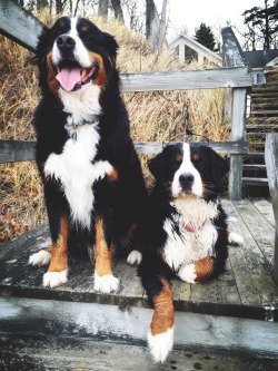 threeberners:  Tired beach adventurers.