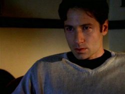 foxmulders:  the realest part of the x files