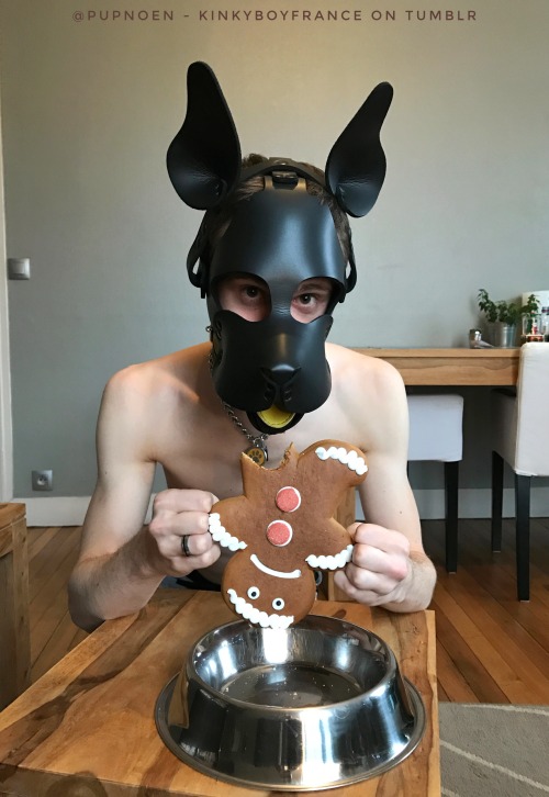 kinkyboyfrance: Last week before Christmas ! Pup is becoming excited 