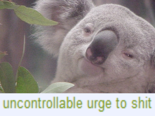 ruf1ohn1tram:  me about fictional romance and shipping bullshit:me about irl romance: