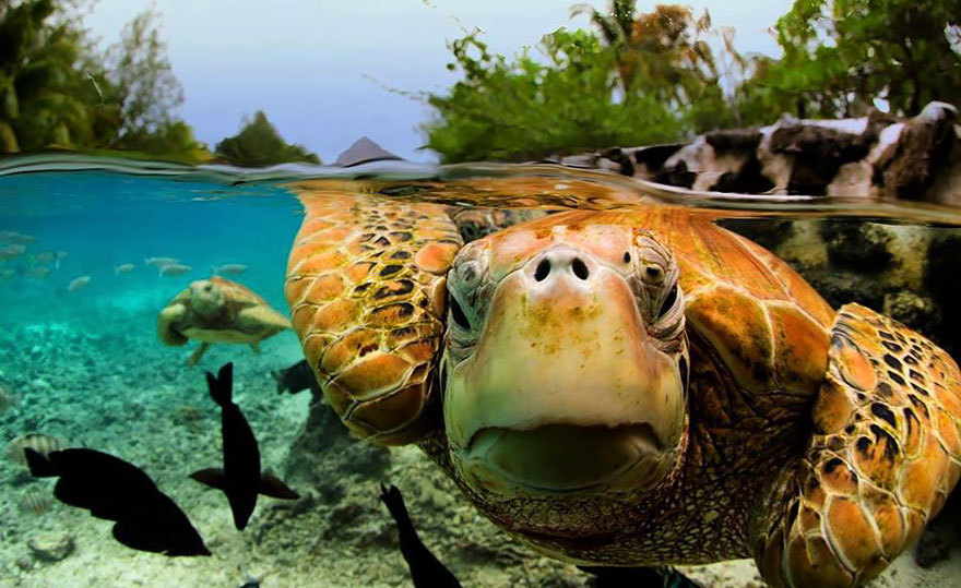 boredpanda:    20+ Breathtaking Photos Taken Between Two Worlds   