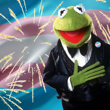 One Time I Made A Patriotic Trans Kermit The Frog. He Vibin'