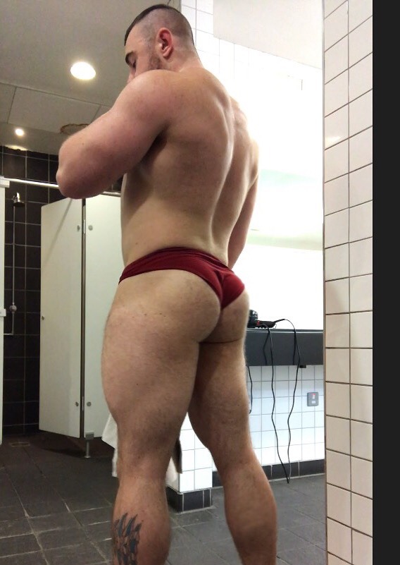 Los osos que quiero
