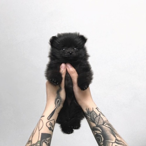 https://lovespinkmatter.tumblr.com/post/175866710396