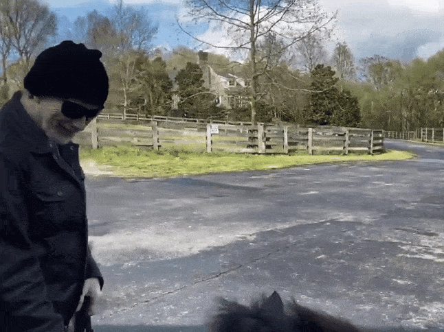 Dave With His Miniature Horse, Rocky (ft. Romeo) Nashville, Tennessee, US. - April 1st, 2020.