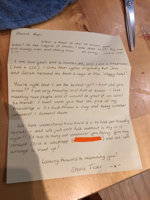 catchymemes:4 Guys Beg Their Neighbor To Let Them Play With Their Dog, Get A Wholesome Letter In Res