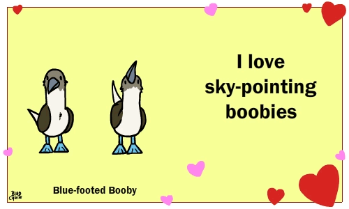 birdcheese:For those that are more fowl-minded.