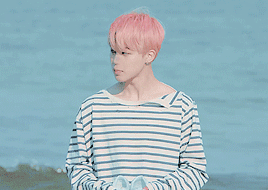 Cotton Candy