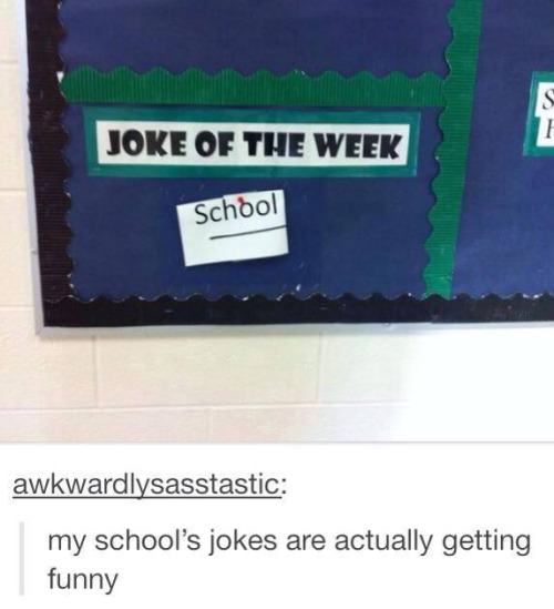 itsstuckyinmyhead:School and Tumblr photoset