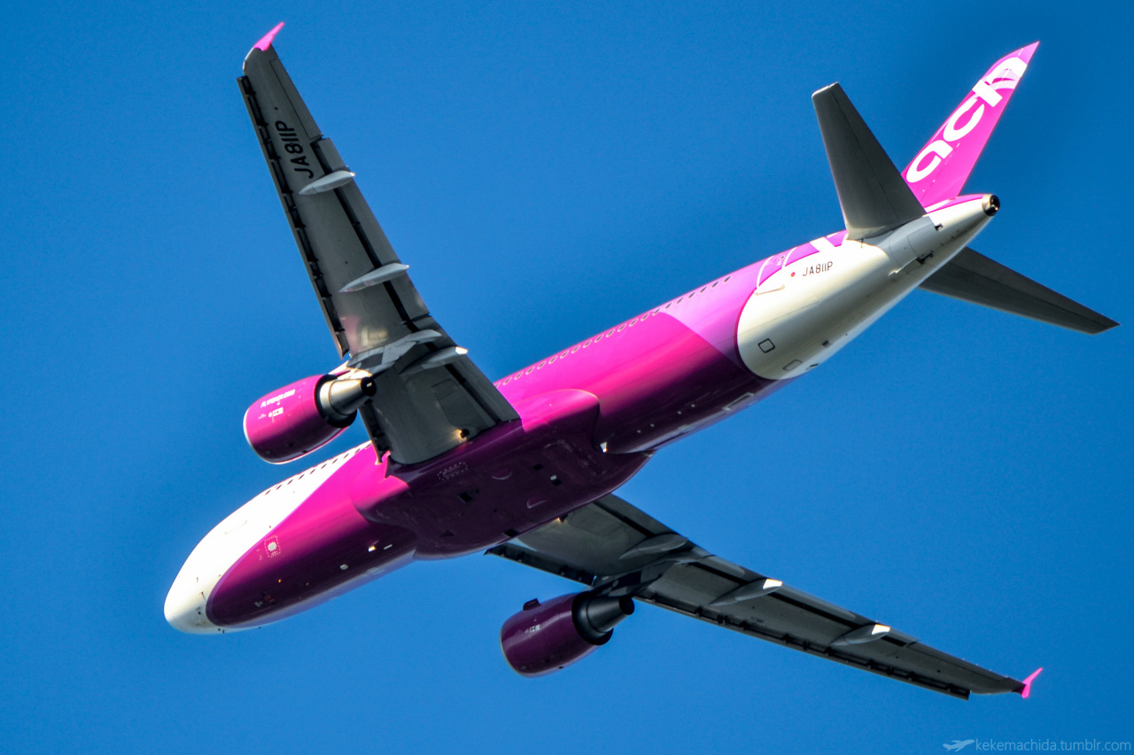 kekemachida:  Tokyo, Narita International Airport (NRT/RJAA) / Peach Aviation Airbus320-200
