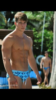 alanpalmsprings:  🌴 If you like what you see, please follow me: alanpalmsprings.tumblr.com🌴 🌟 Please follow the source blogs too!🌟