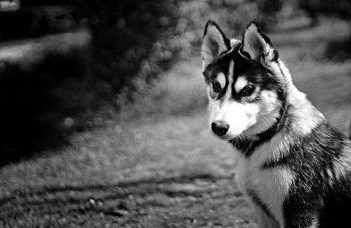 brutalgeneration:  By MStrawberry