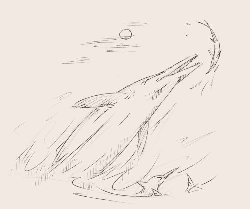 A selection of very quick sketches I didn’t post to tumblr, rhamphorhynchus, asteriornis, decc