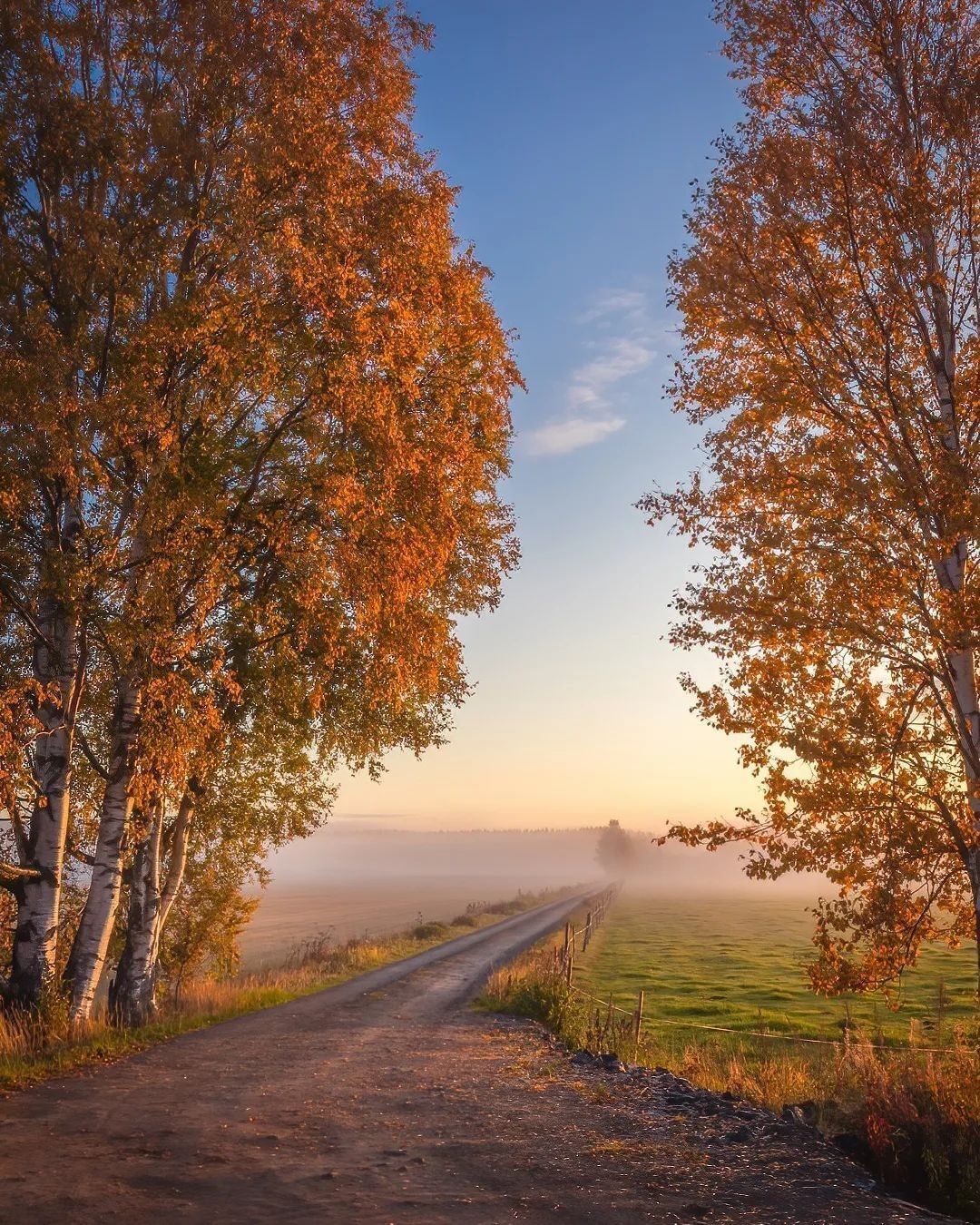 Autumn in Finland 🍂 Follow...