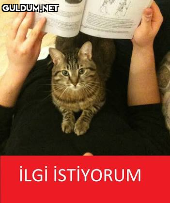 İLGİ İSTİYORUM