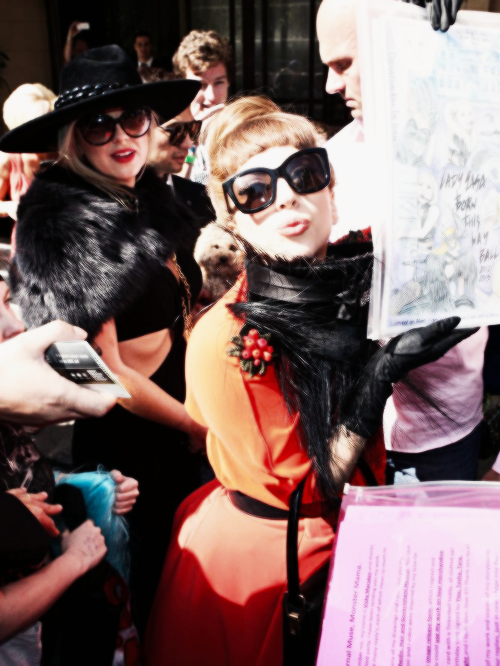 my follies