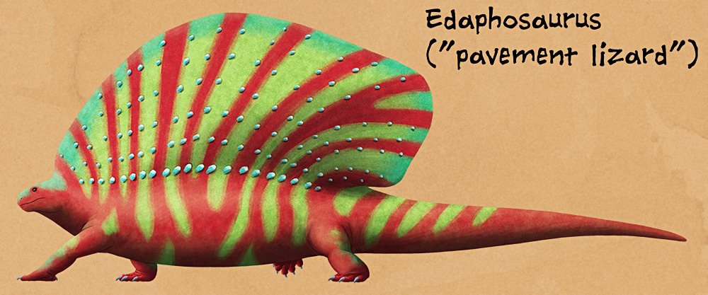 alphynix:
“ Weird Backs Month #05 – Edaphosaurus
The namesake of the edaphosaur family, and the largest, Edaphosaurus lived during the Late Carboniferous and Early Permian (~300-280 mya) of the USA, with possible fragmentary fossils also known from...