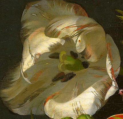 clara–lux:RUYSCH, Rachel (1664-1750) Still life with flowers in a glass vase, detailsbetween 1