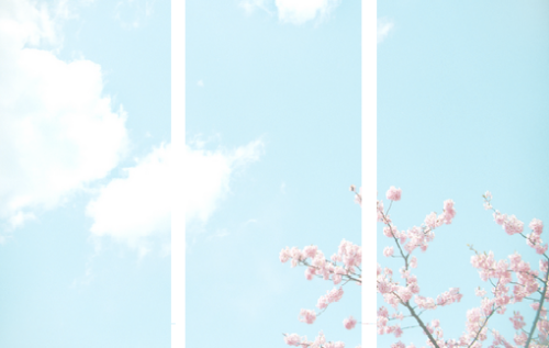 royal-sea:  by (chizu_ko)