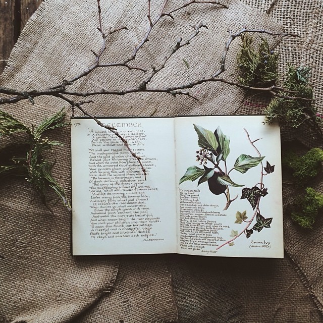 beeslikehoney:  by johndunfee http://ift.tt/18VhbKO 