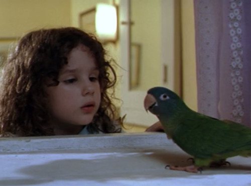 thecassafrasstree: pepperandpals: Birds in Media: Paulie from the film Paulie “There are thing