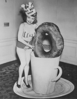v8s-and-va-voom:  Why don’t we have donut