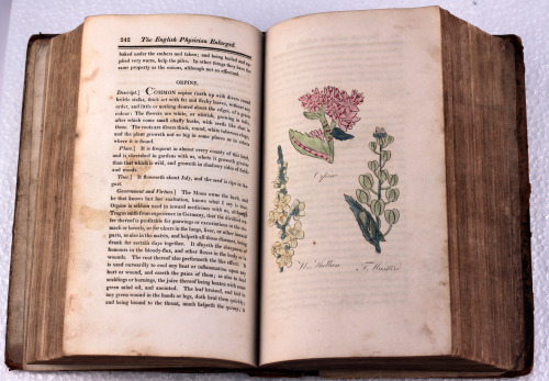 worn early 19th century Herbal with 50 hand coloured engraved plates Printed in Halifax c1815