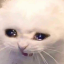 each-night-i-cry