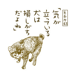 itsushi:  ネチカ　〜野良学的秩序によって証明された〜「ネチカ」はてブ再起動の第7週目で御座います。