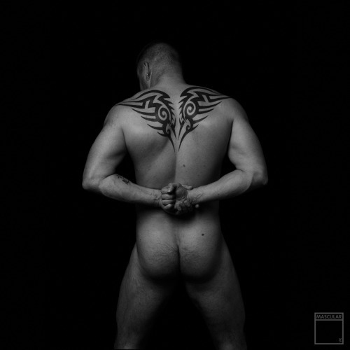 ilovebearsposts:                                     http://www.mascularstudio.com/http://ilovebearsposts.tumblr.com/archive