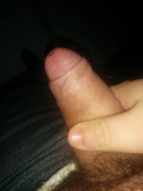 I keep getting begged for cock pics. So here go nuts XD