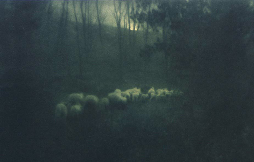 starswaterairdirt:Pastoral, 1907Edward Steichen