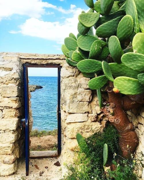 fre-vis3: icharous:Torre a Mare, Puglia, Italy by @icharous Attraverso quella porta dovresti incontr