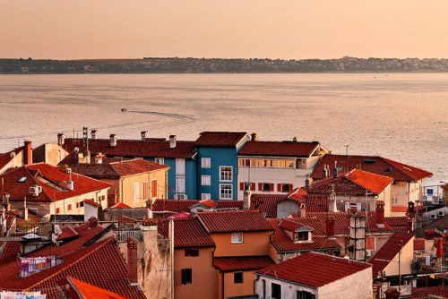 just-wanna-travel: Piran, Slovenia