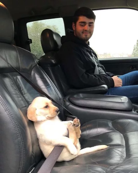 cutenessradar: Safety always comes first so don’t forget to wear seatbelts! I don&rsquo;t 