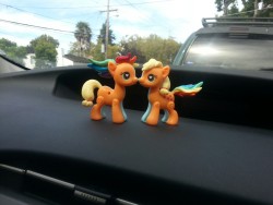 Appledash shipped with Appledash. I’m too easily amused.   They’re pony pop toys to design your own pony! Found them at Target and ToysRUs.