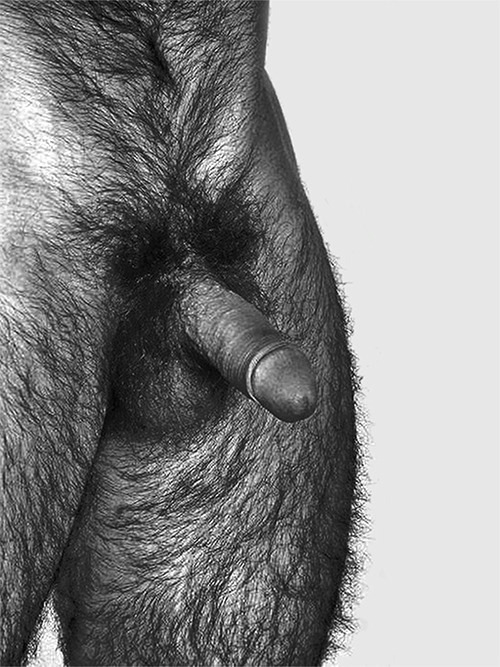 asodomite:  Hairy and hot, love that hairy porn pictures