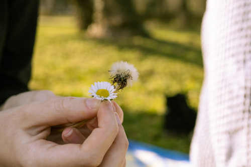 My Friends And I Had A Picnic In The Park Yesterday. Here Are Some Pictures I Took.