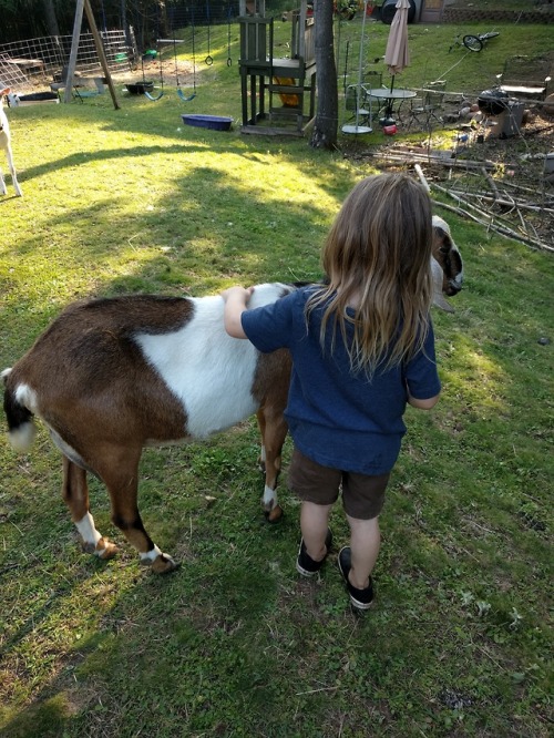 Life on the farm. Happy kid, happy animals. Black currents and other things in the garden… Th