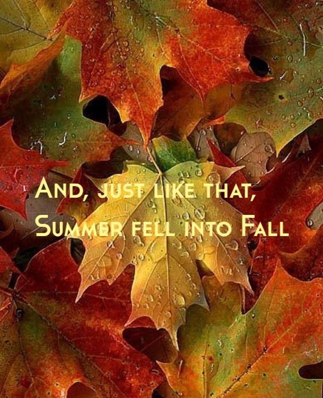 eroticawithyou:  Thursday…Hello Fall…GOOD MORNING Tumblrs!!!~ eroticawithyou(photos via