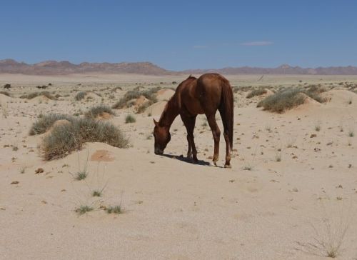 Namibia 2023/24 - Tag 12