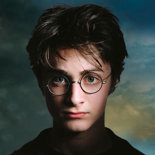 Harry Potter Characters As Dogs