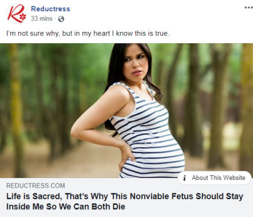 champagnemanagement: champagnemanagement: reductress is OUT FOR BLOOD!!!! important updates: