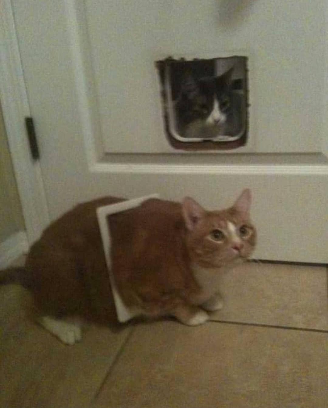 picsthatmakeyougohmm:hmmm